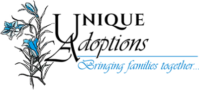 Nationwide Adoption Facilitator